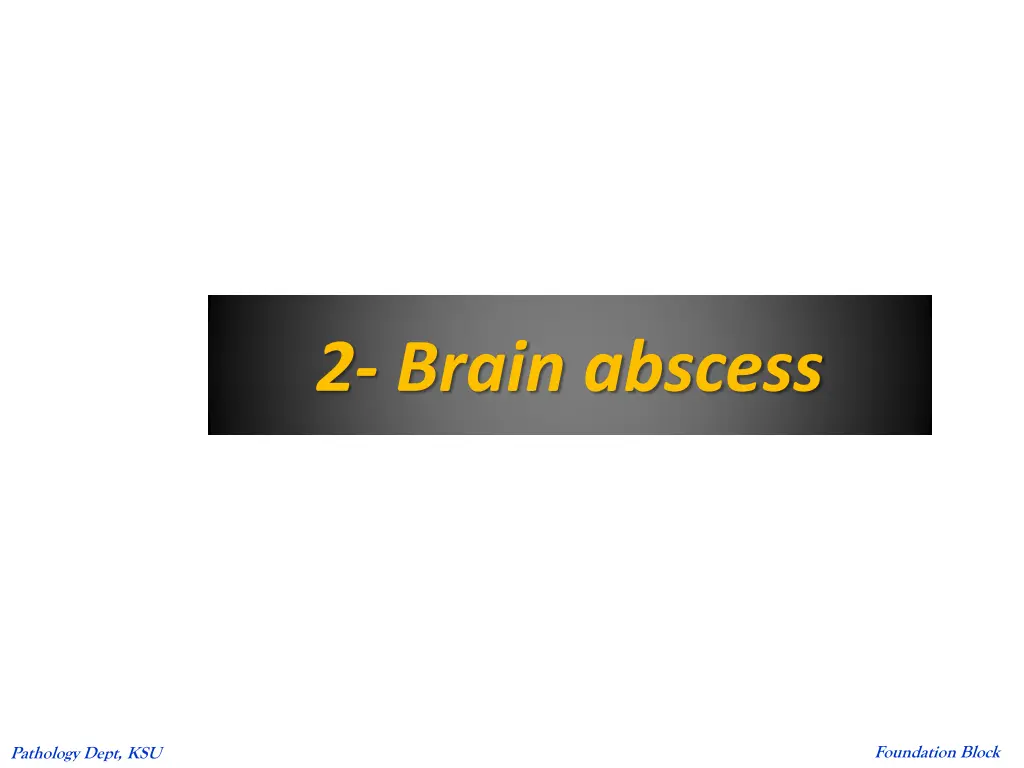 2 brain abscess