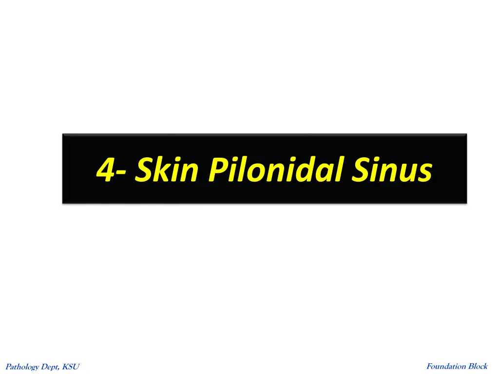 4 skin pilonidal sinus