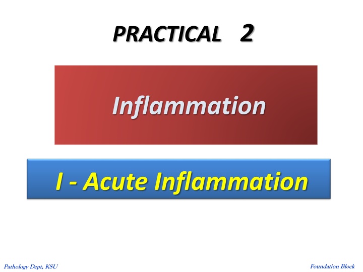 practical 2