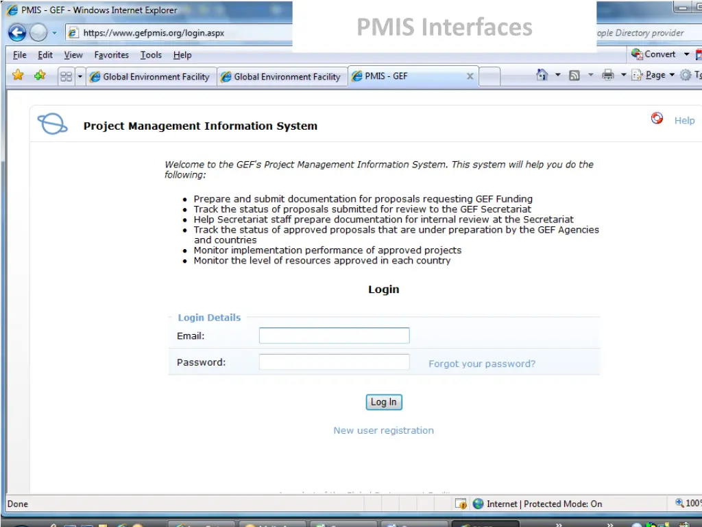pmis interfaces
