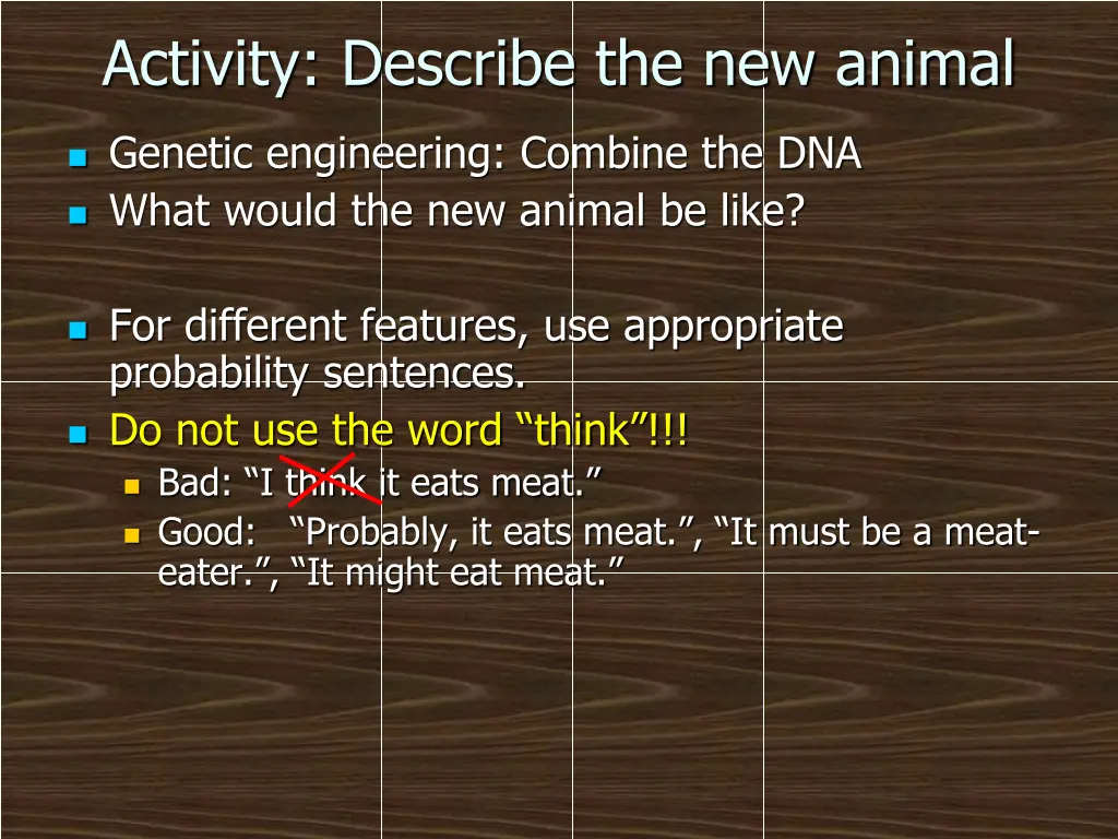 activity describe the new animal