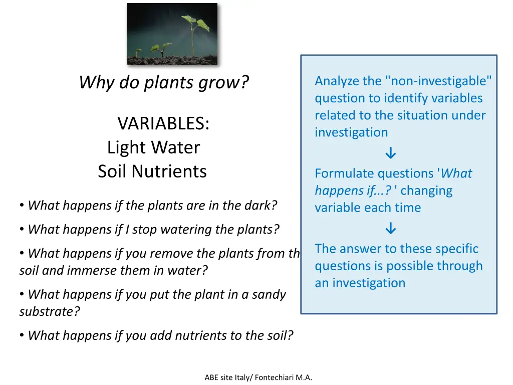 why do plants grow