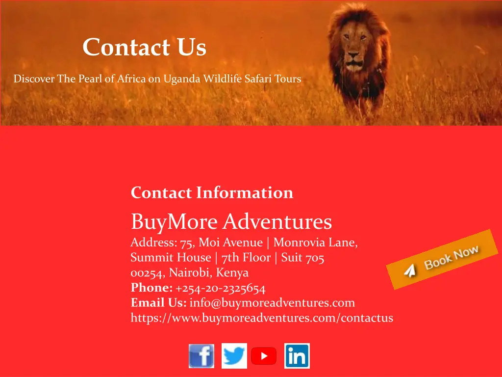 contact us
