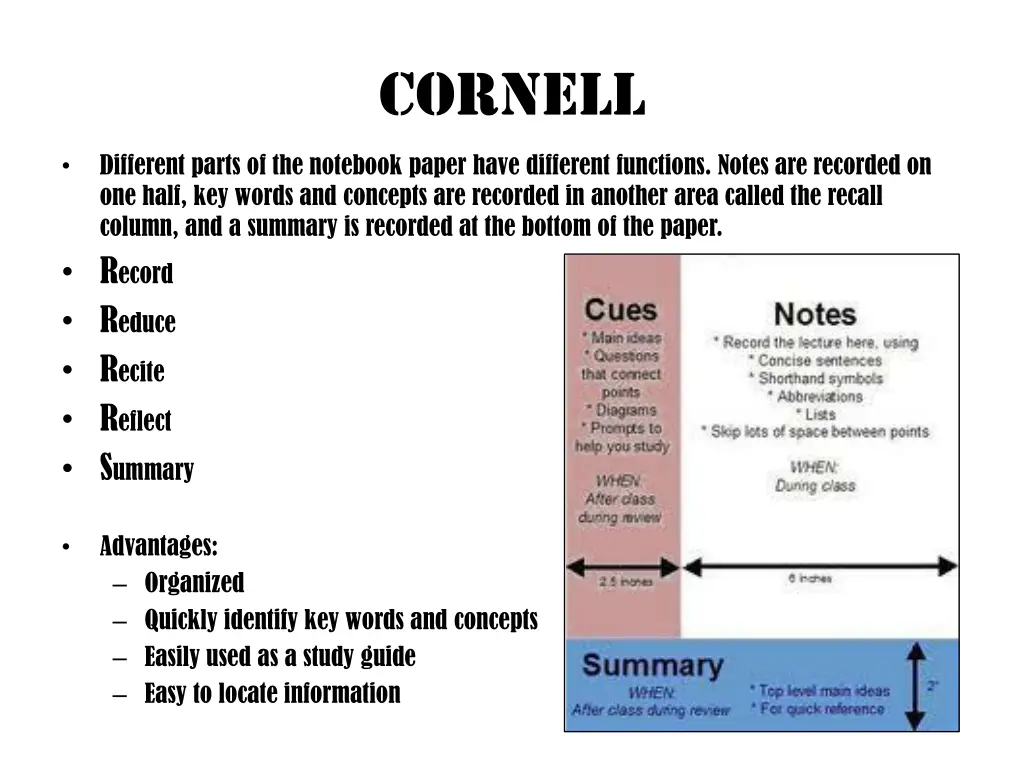 cornell