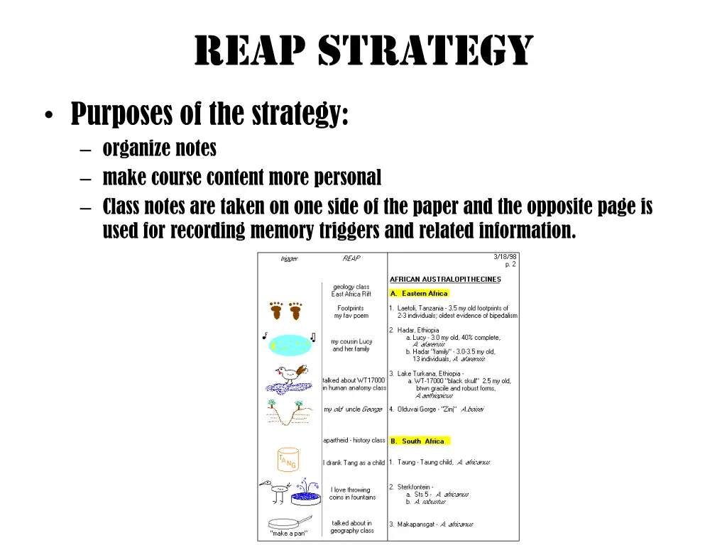 reap strategy