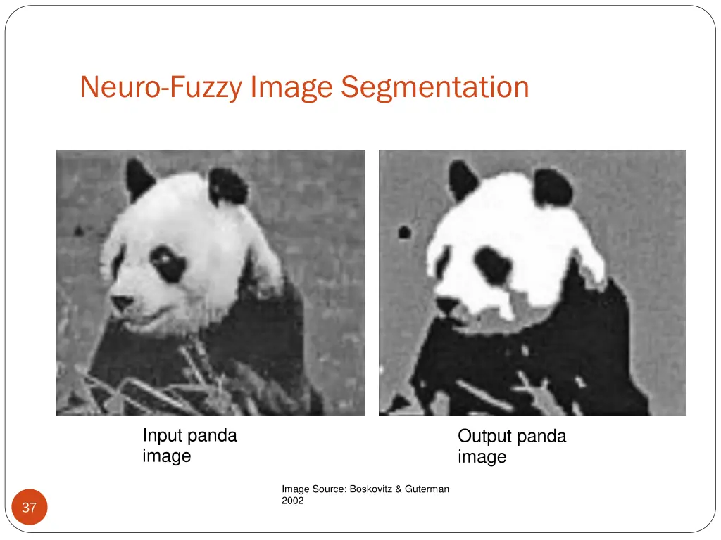 neuro fuzzy image segmentation 3