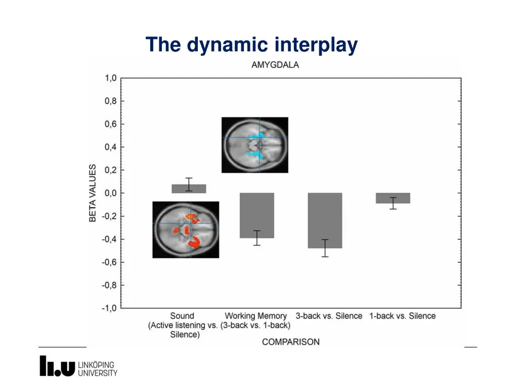 the dynamic interplay