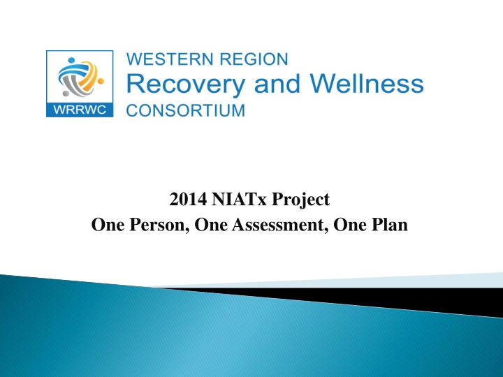 2014 niatx project one person one assessment