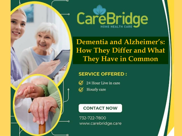 dementia and alzheimer s how they differ and what