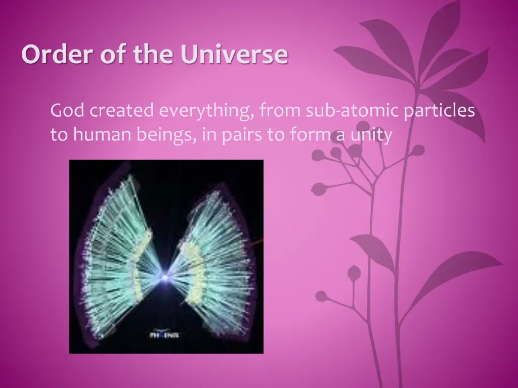 order of the universe