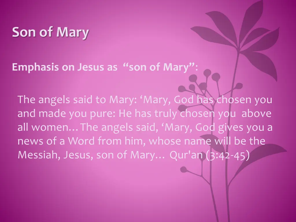 son of mary