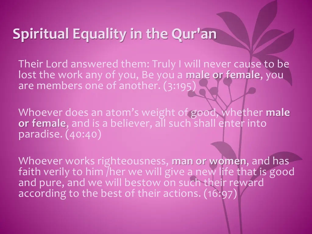 spiritual equality in the qur an