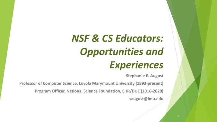 nsf cs educators opportunities and experiences