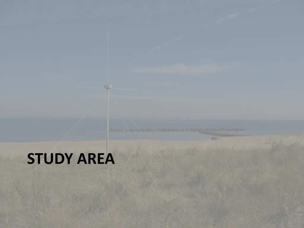 study area
