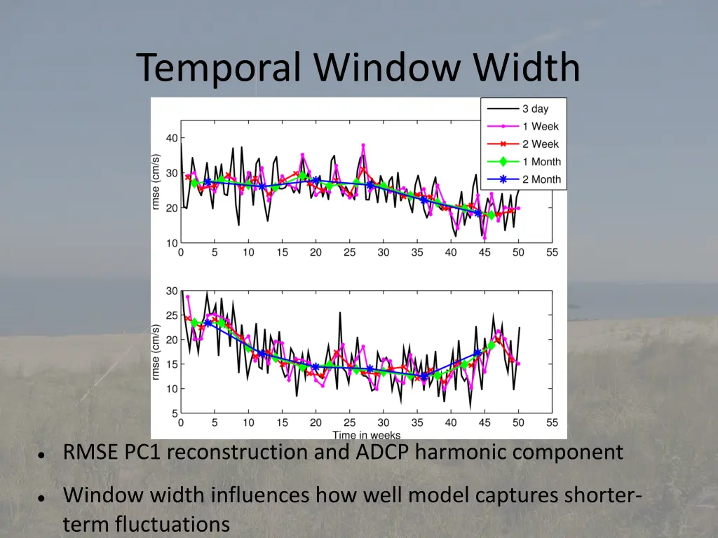 temporal window width