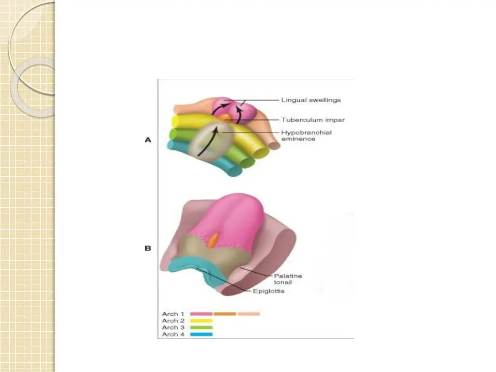 slide20