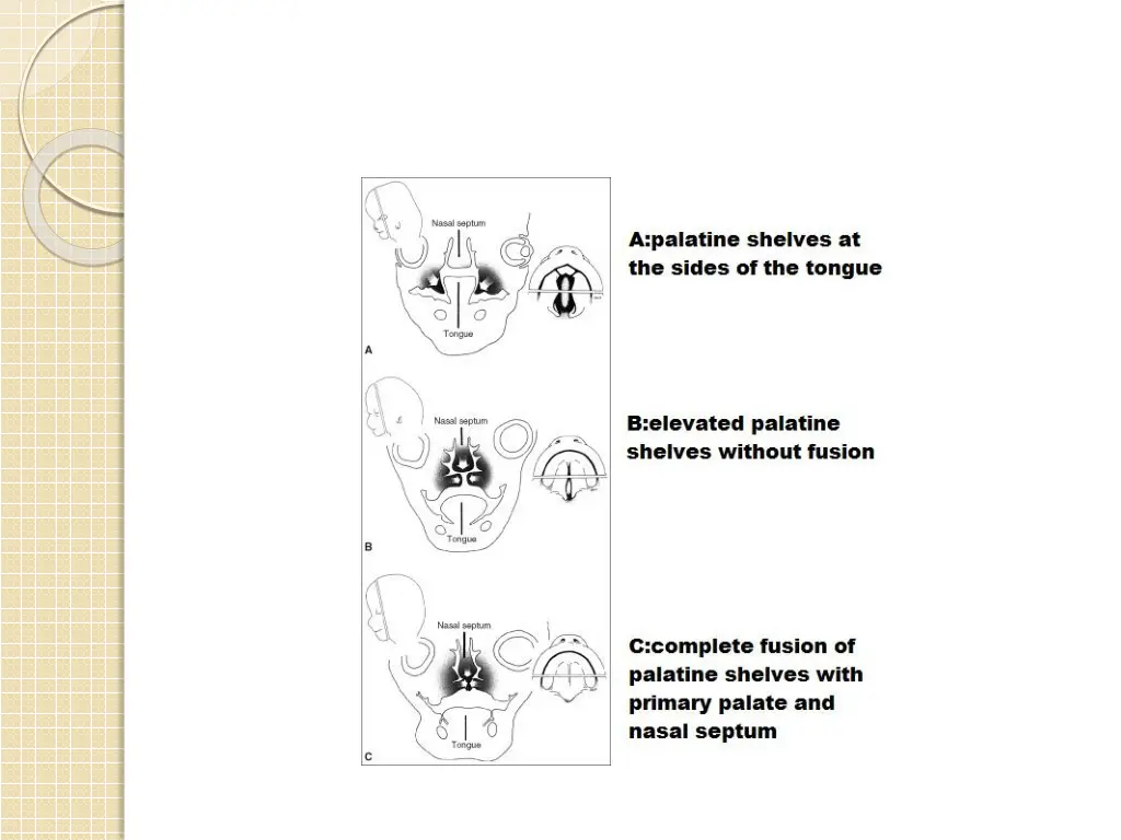 slide8