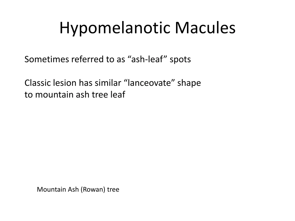 hypomelanotic macules
