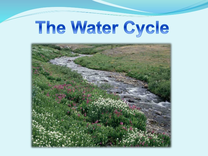 the water cycle