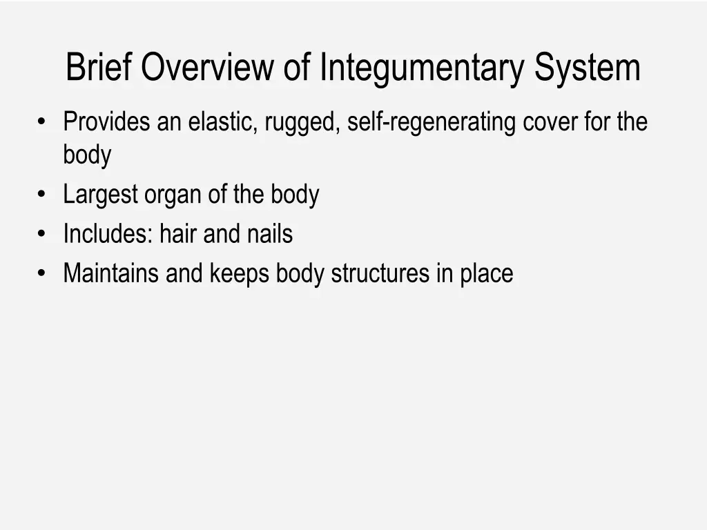 brief overview of integumentary system