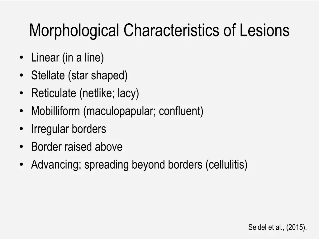 morphological characteristics of lesions
