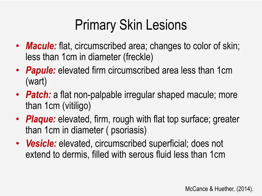 primary skin lesions