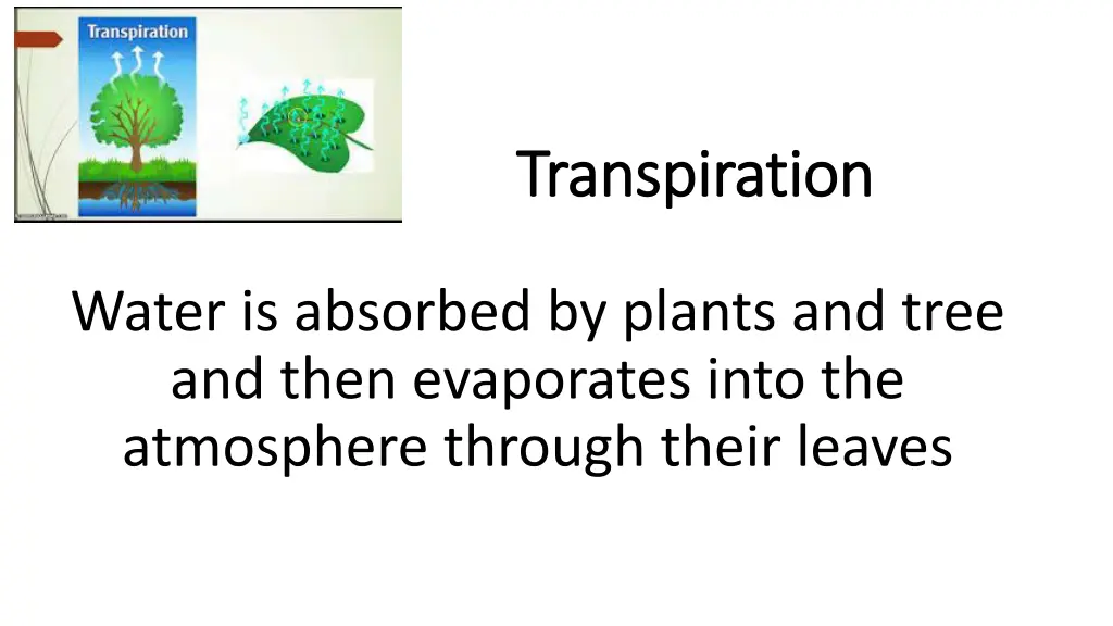transpiration transpiration