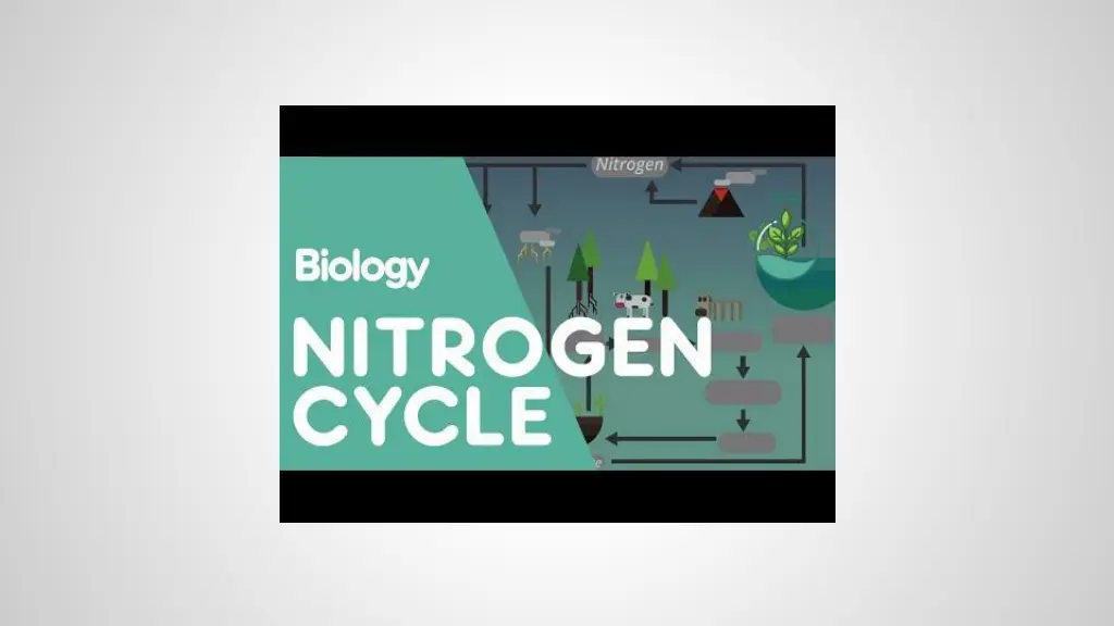 the nitrogen cycle chemistry for all fuseschool