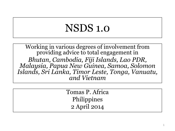 nsds 1 0