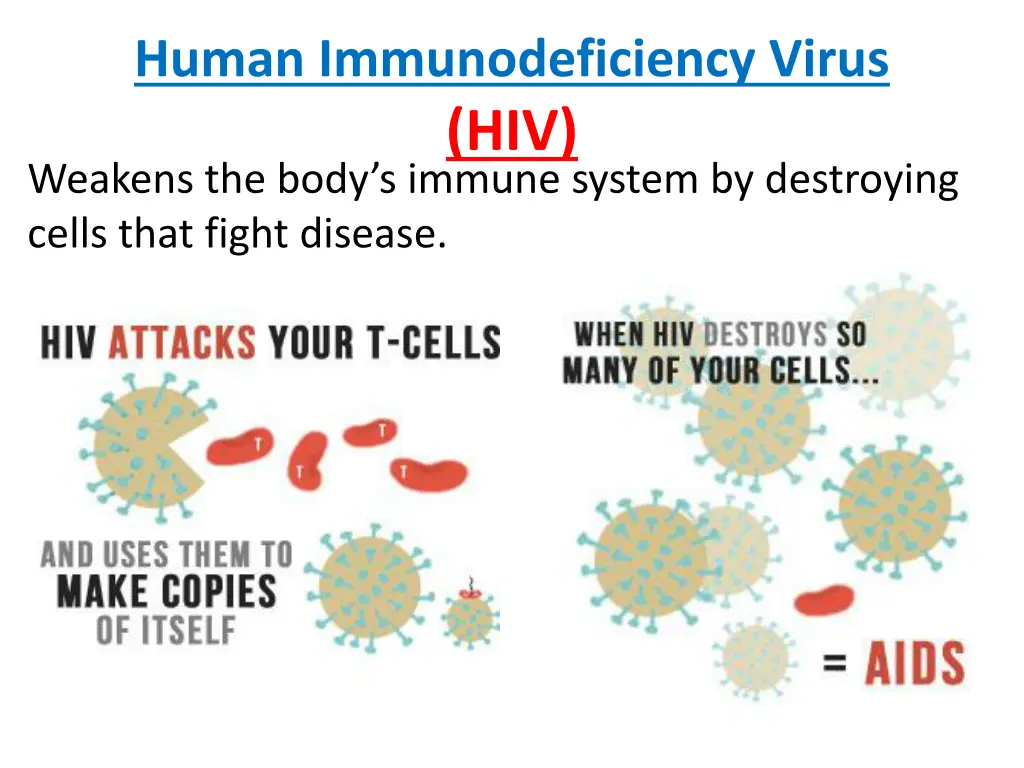 human immunodeficiency virus hiv weakens the body