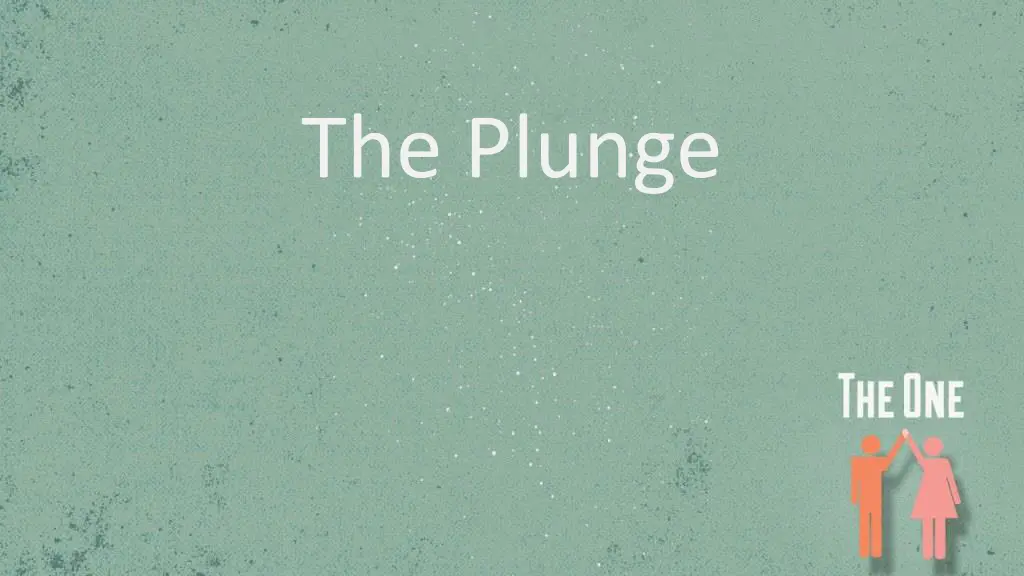 the plunge 1