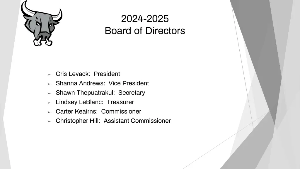 2024 2025 board of directors