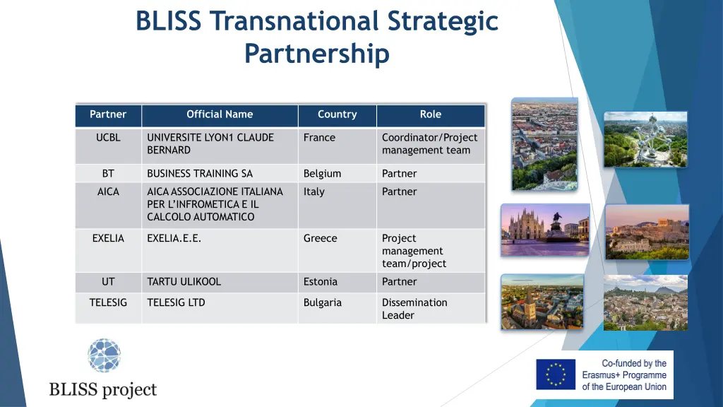 bliss transnational strategic partnership
