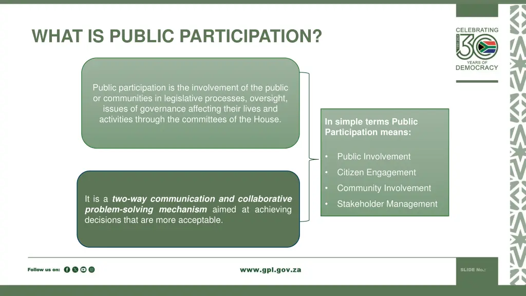 what is public participation