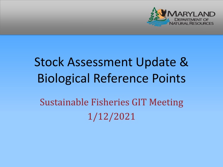 stock assessment update biological reference
