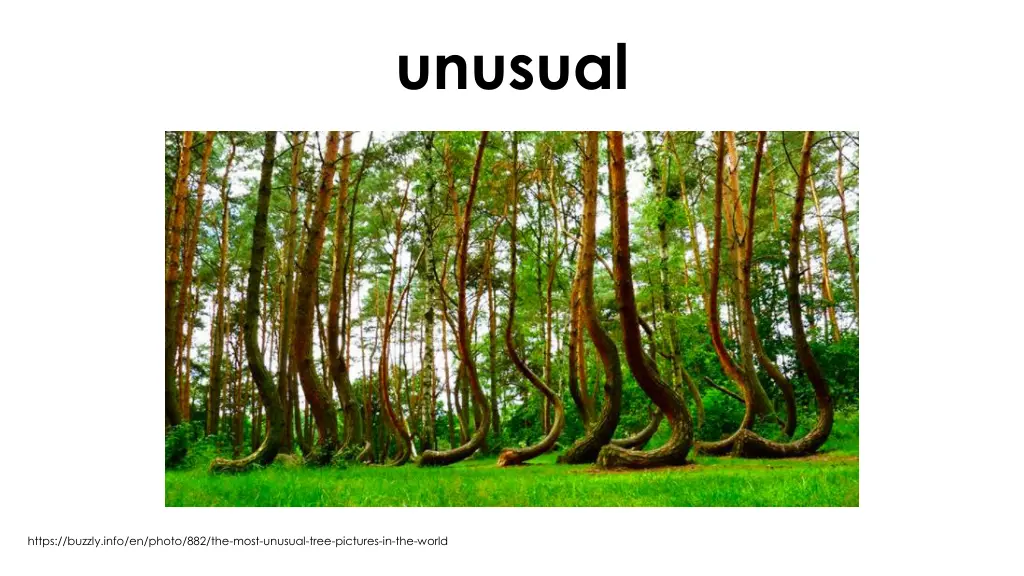 unusual 1