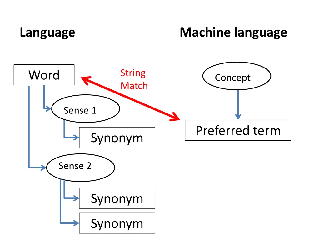 language 1
