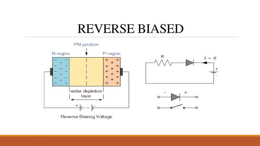 reverse biased 1
