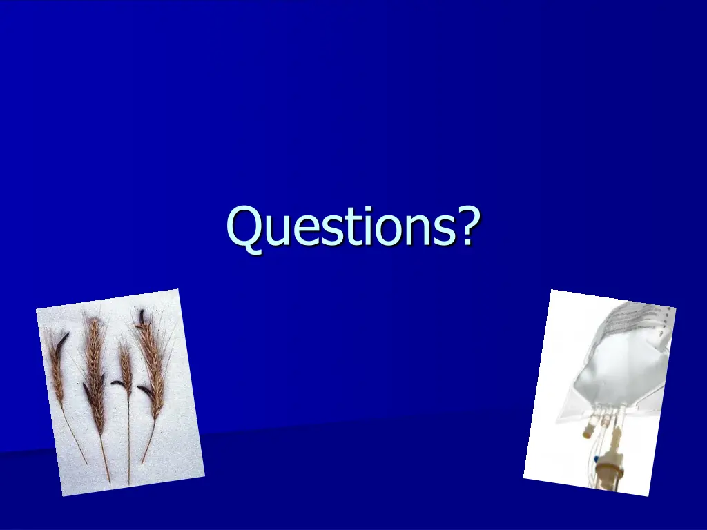 questions