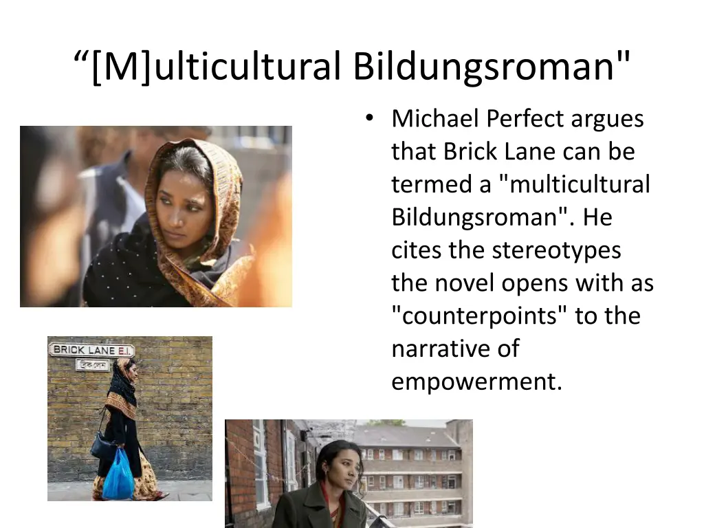 m ulticultural bildungsroman
