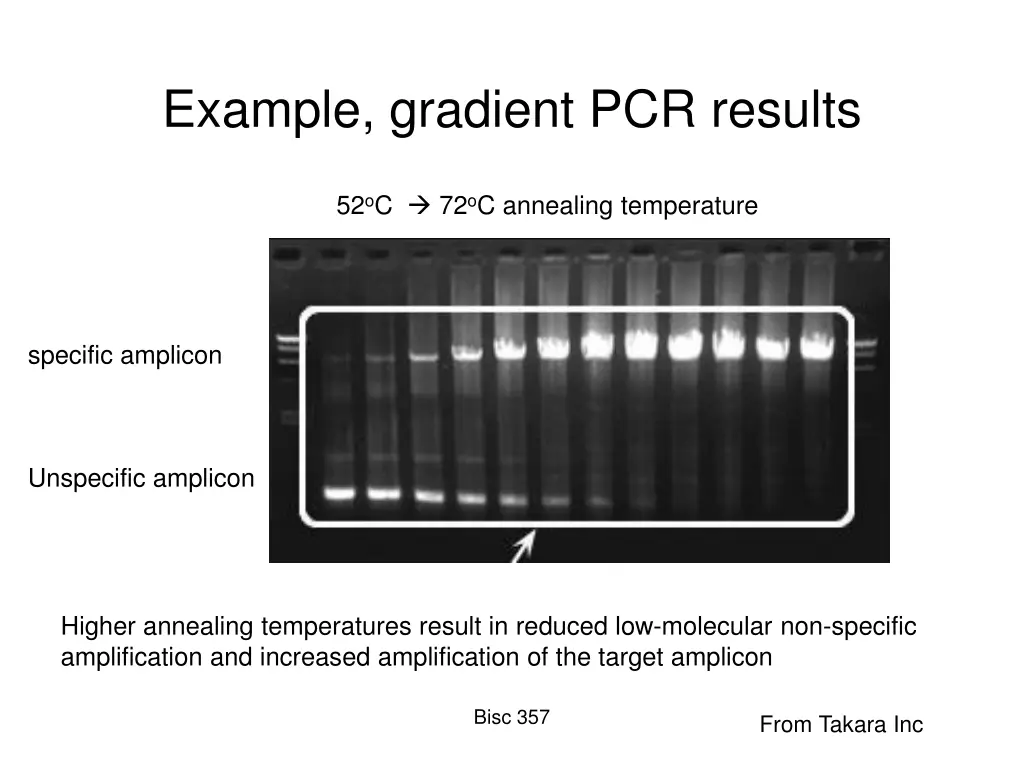example gradient pcr results
