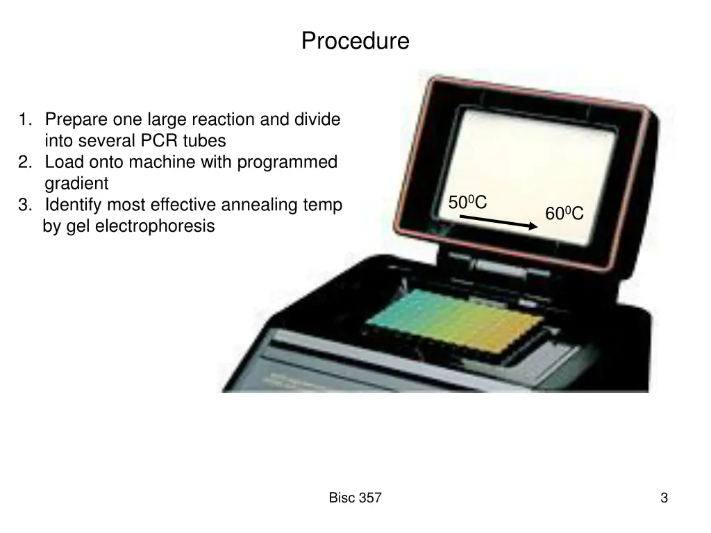 procedure