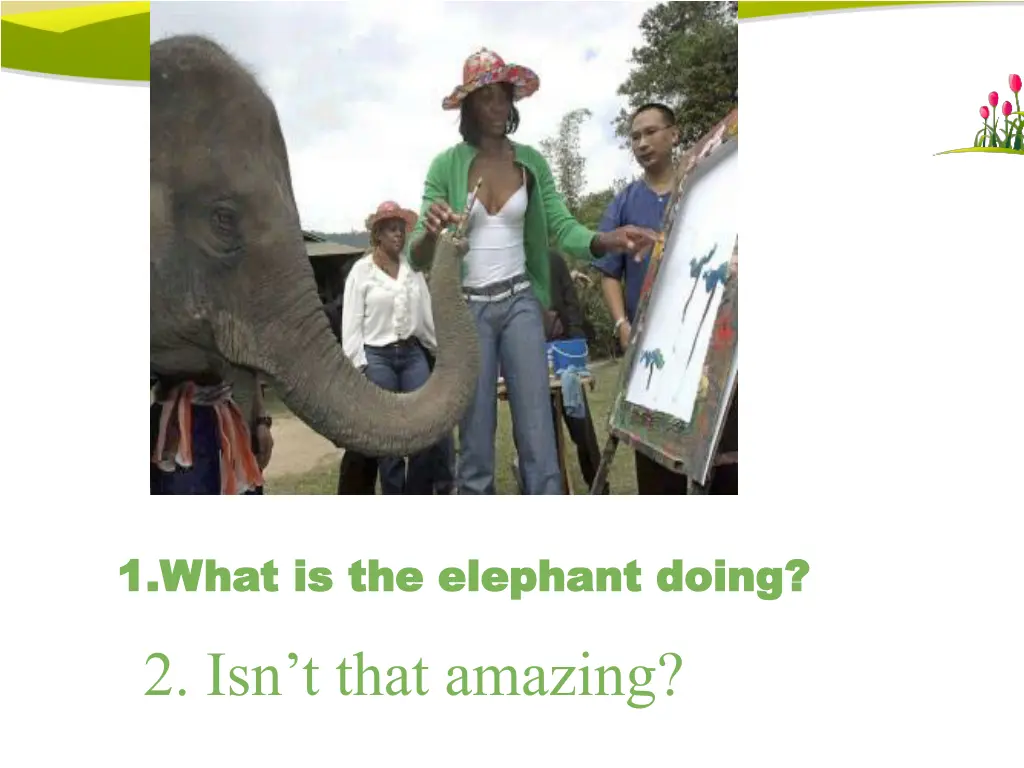 1 what is the elephant doing 1 what