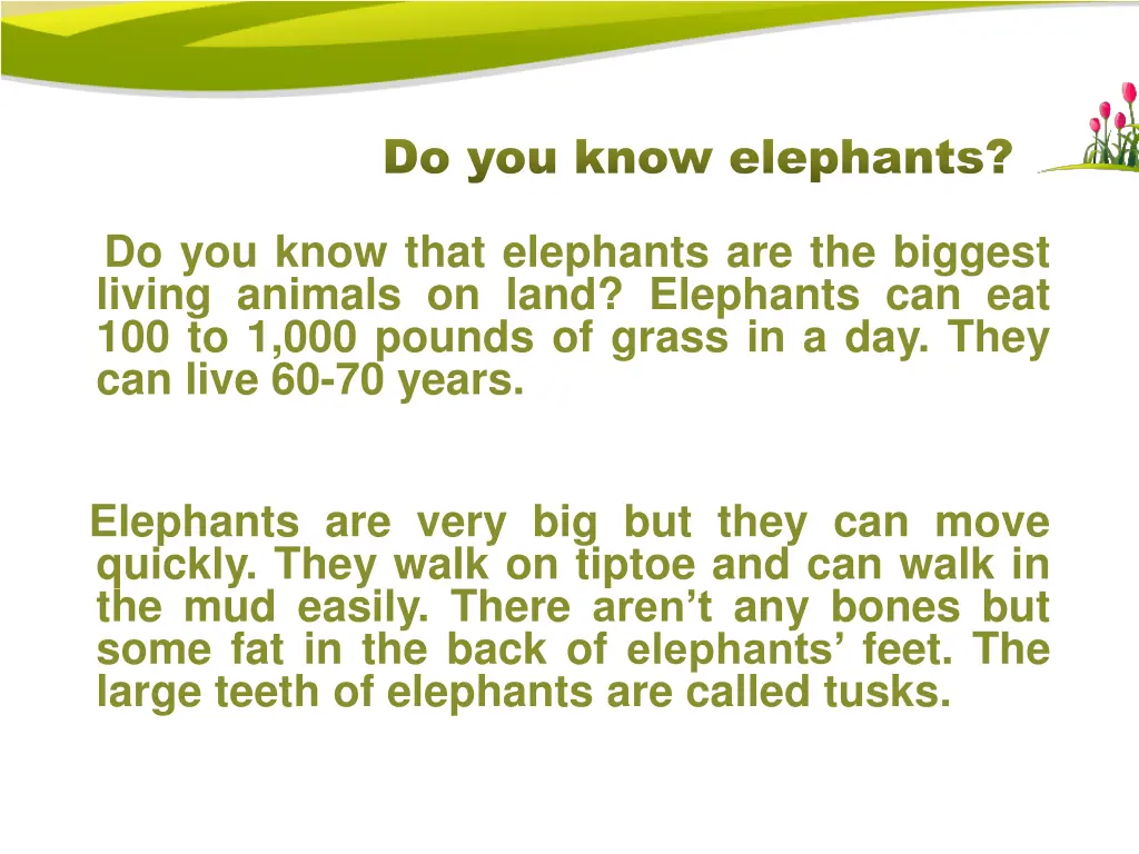 do you know elephants do you know elephants