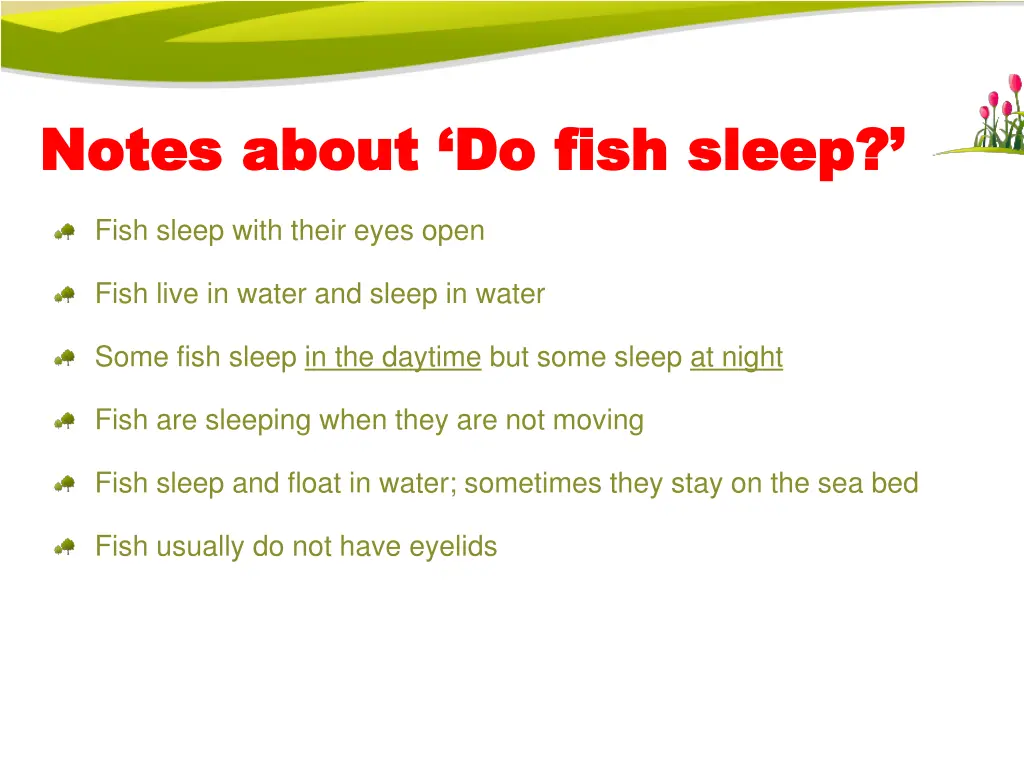 notes about do fish sleep notes about do fish