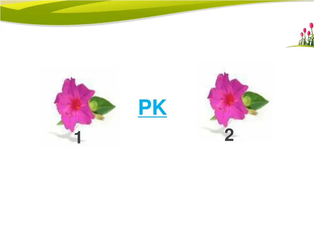 slide11