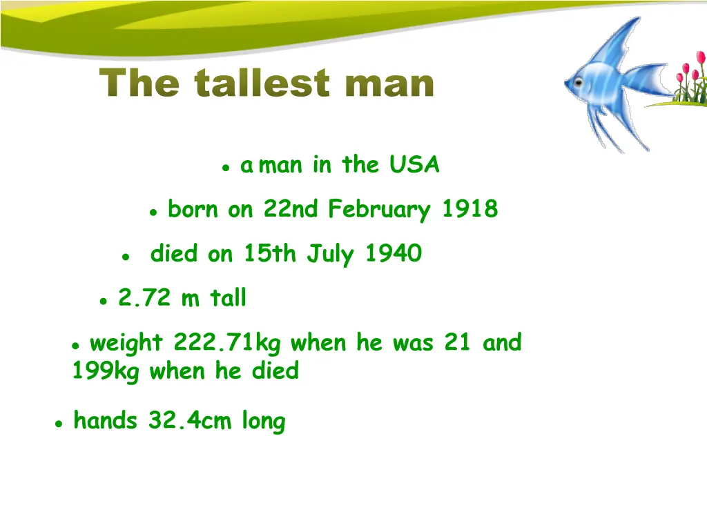 the tallest man the tallest man