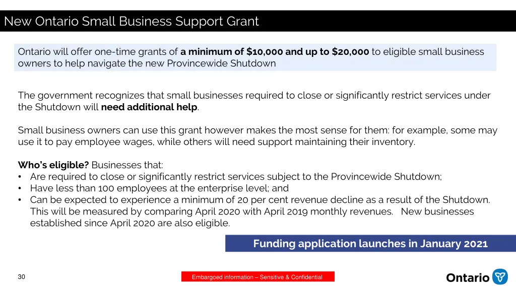 new ontario small business support grant