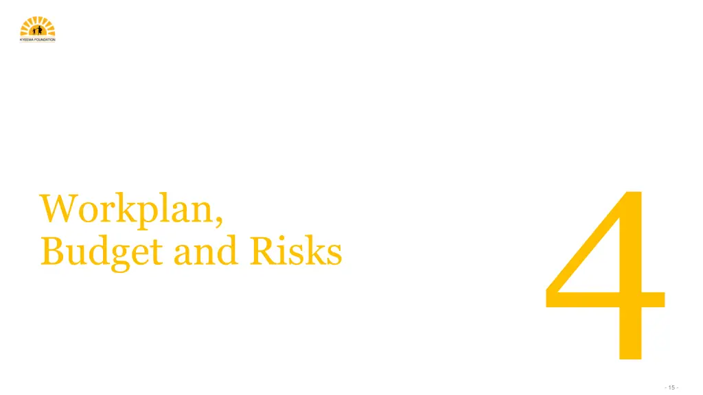 workplan budget and risks