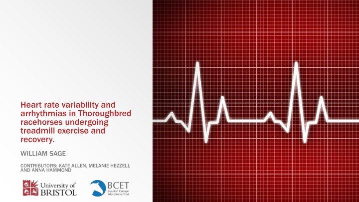 heart rate variability and arrhythmias